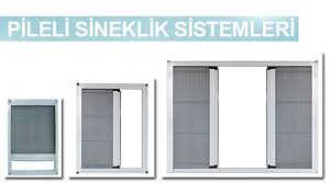 Pileli Sineklik